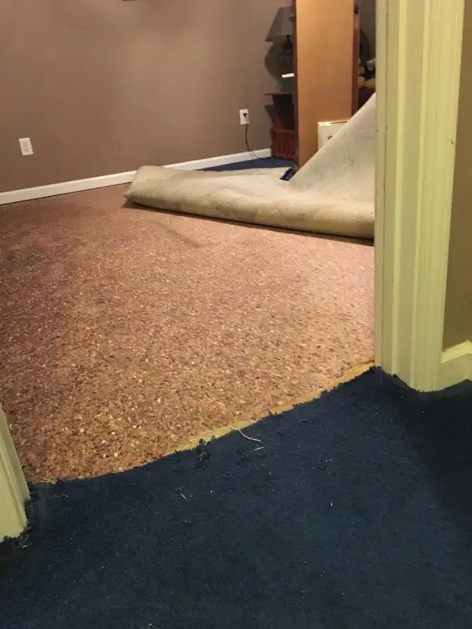 Carpet pad removal revealing water damage during Drying & Dehumidification in Olean
