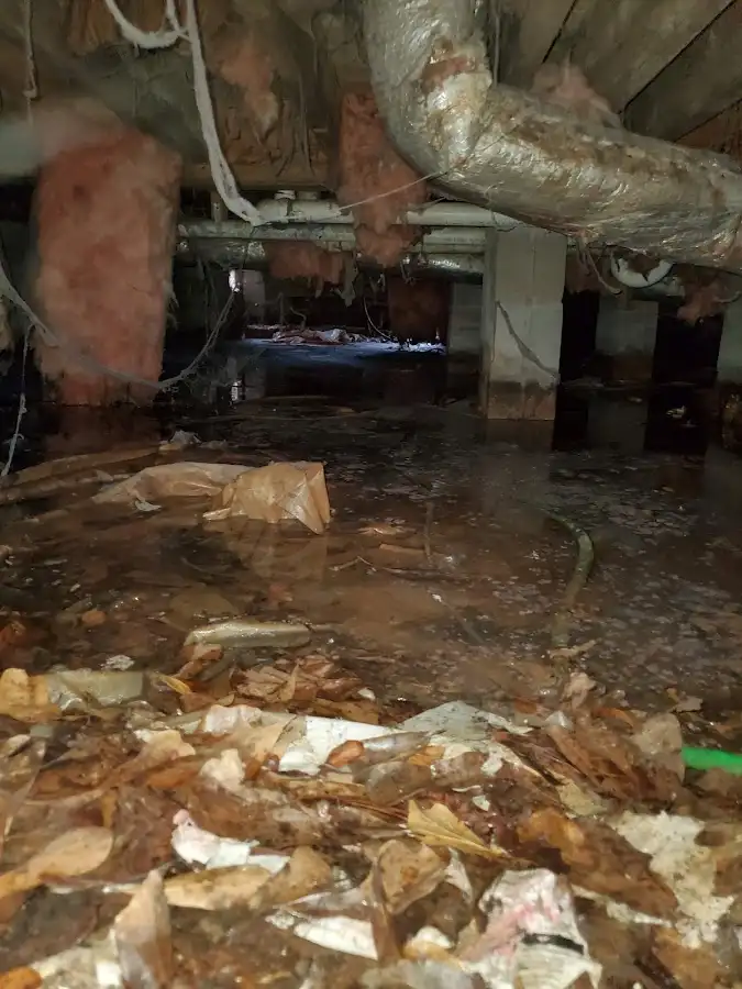 Crawl space flood assessment for Leak Detection & Repair in Olean