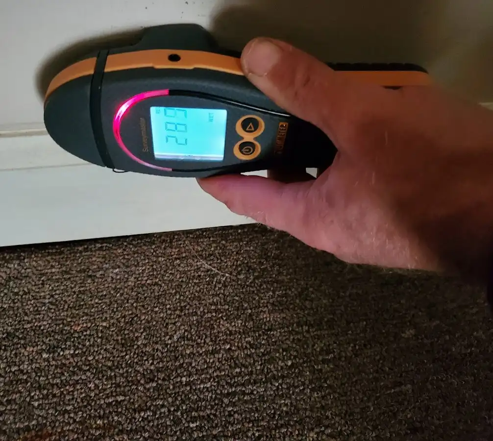 Moisture detection at baseboard during Sewage Cleanup & Sanitation in Olean
